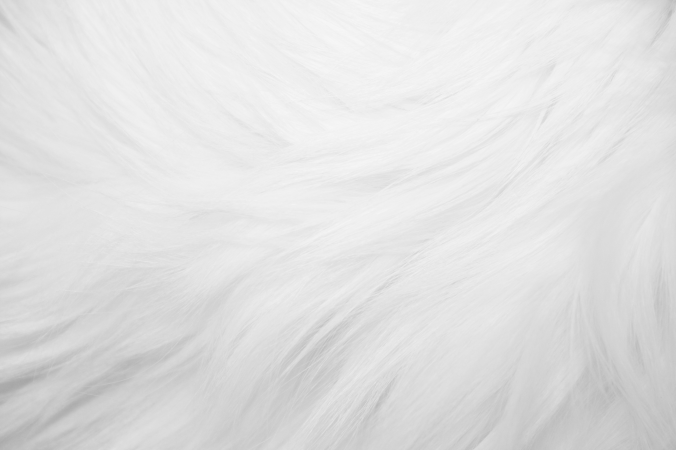 pink-fur-texture2